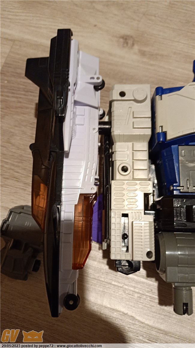 IMG-20230529-WA0008.jpeg