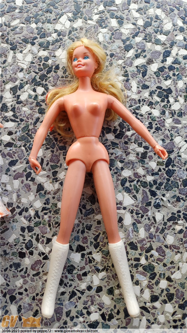 IMG-20230616-WA0018.jpeg