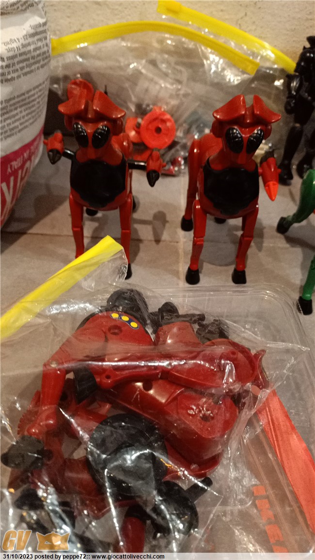 IMG-20231031-WA0012.jpeg