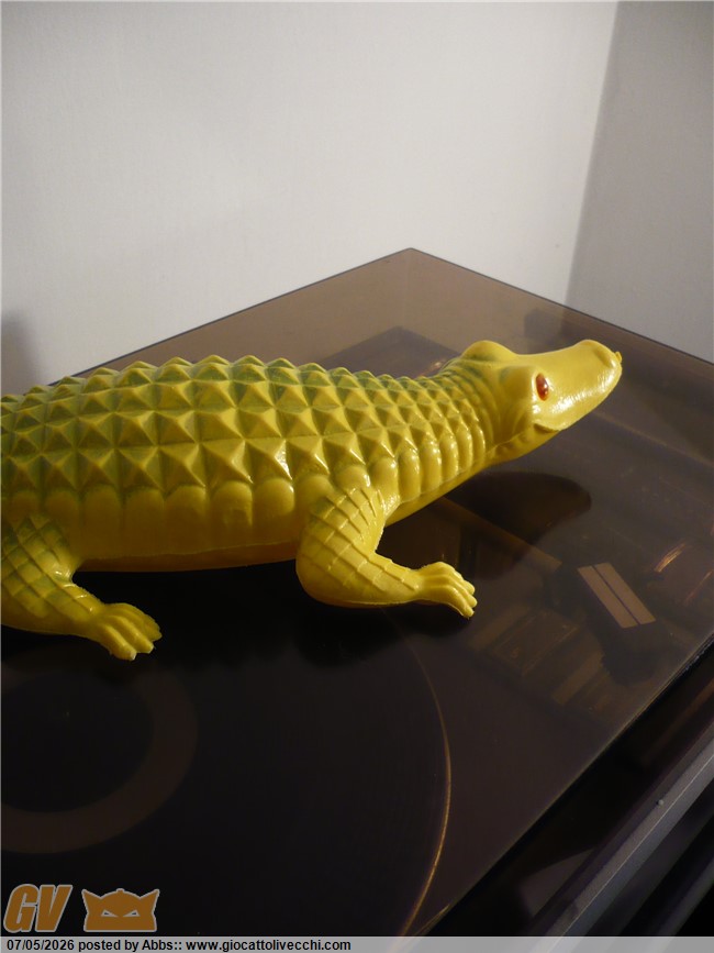 aaabgo739.JPG