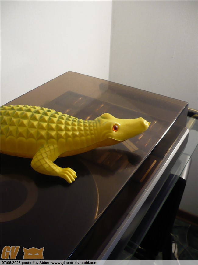 aaabgo740.JPG