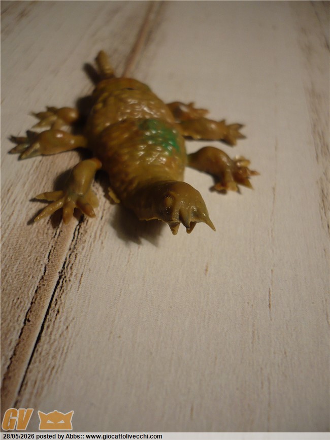 aaabgo1038.JPG