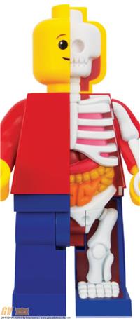 CERCO OMINI LEGO (PER IL PREZZO LEGGERE ANNUNCIO)