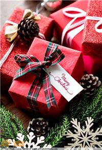 MEGALOTTO NATALIZIO - PREZZO SPEDITO