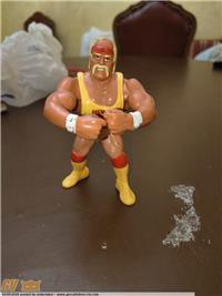 EROI DEL WRESTLING HULK HOGAN